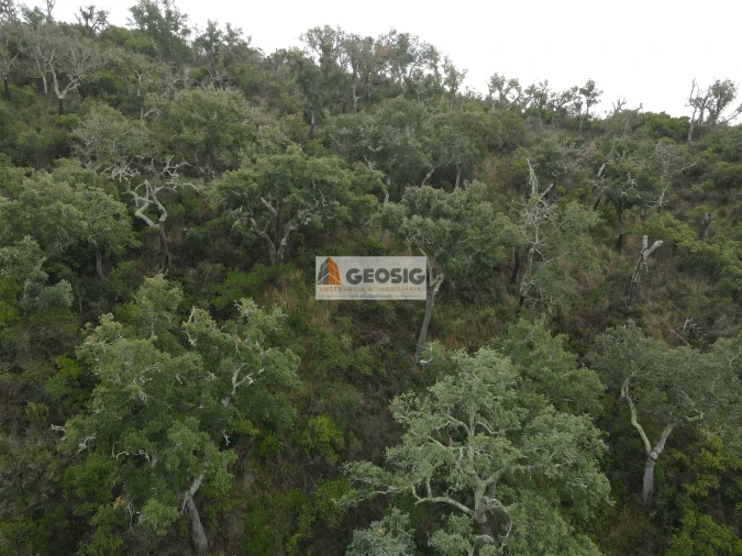 Terreno Agricola ou Rústico para Venda em São Barnabe Foto 18