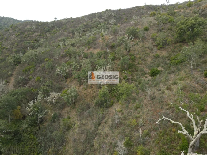 Terreno Agricola ou Rústico para Venda em São Barnabe Foto 15