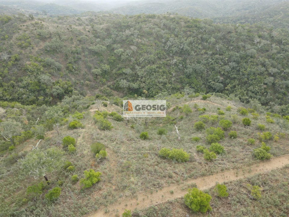 Terreno Agricola ou Rústico para Venda em São Barnabe Foto 1