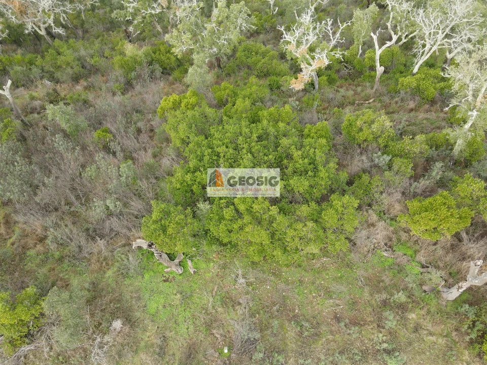 Terreno Agricola ou Rústico para Venda em São Barnabe Foto 2