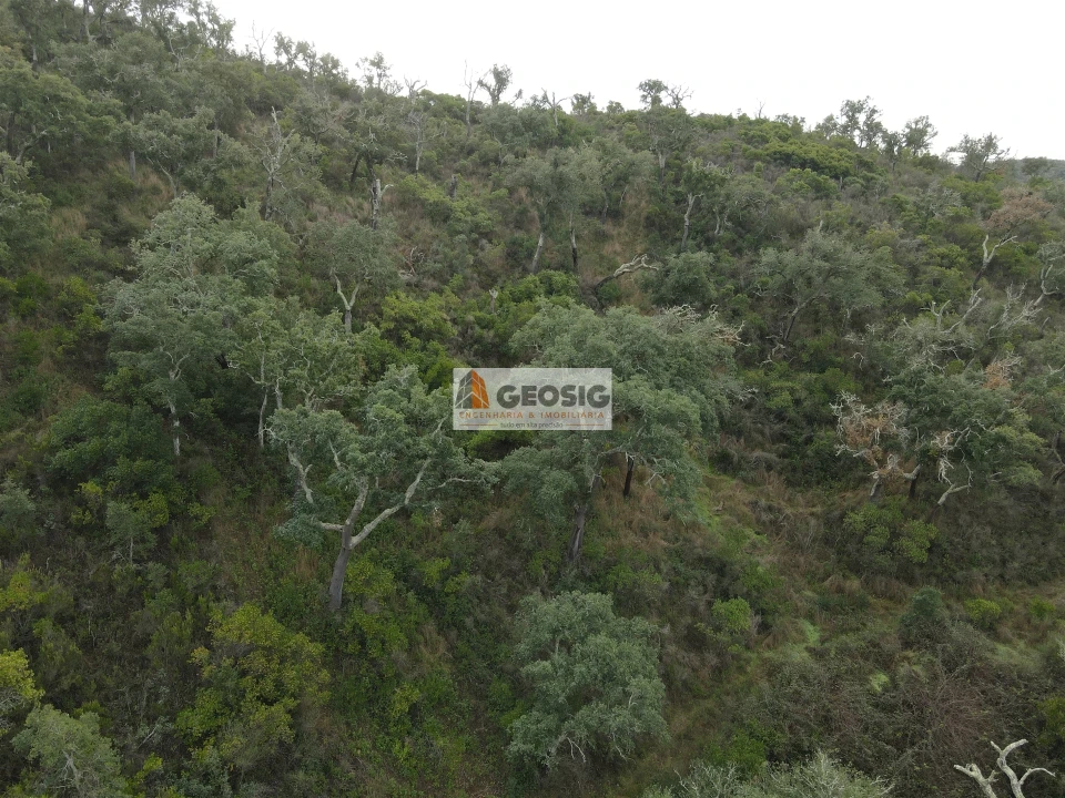 Terreno Agricola ou Rústico para Venda em São Barnabe Foto 17