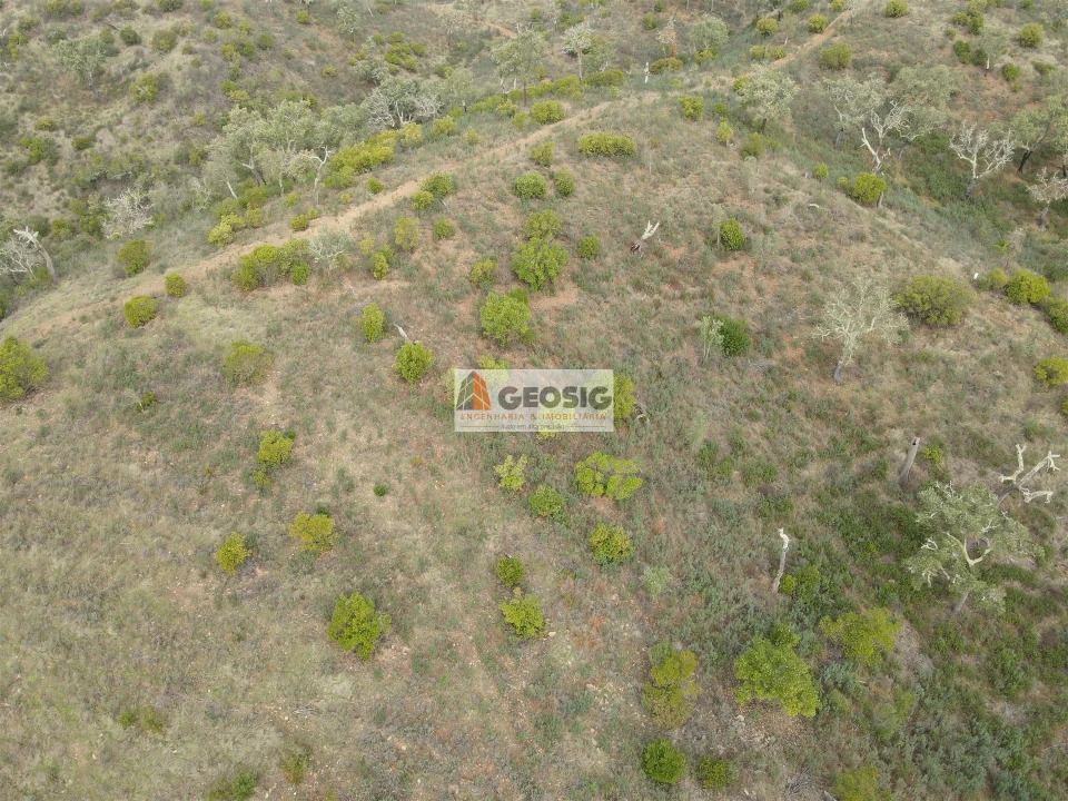 Terreno Agricola ou Rústico para Venda em São Barnabe Foto 6
