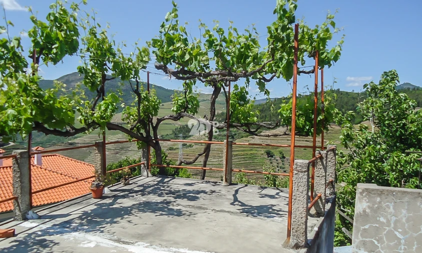 Moradia T3 para Venda em Vacalar Foto 2