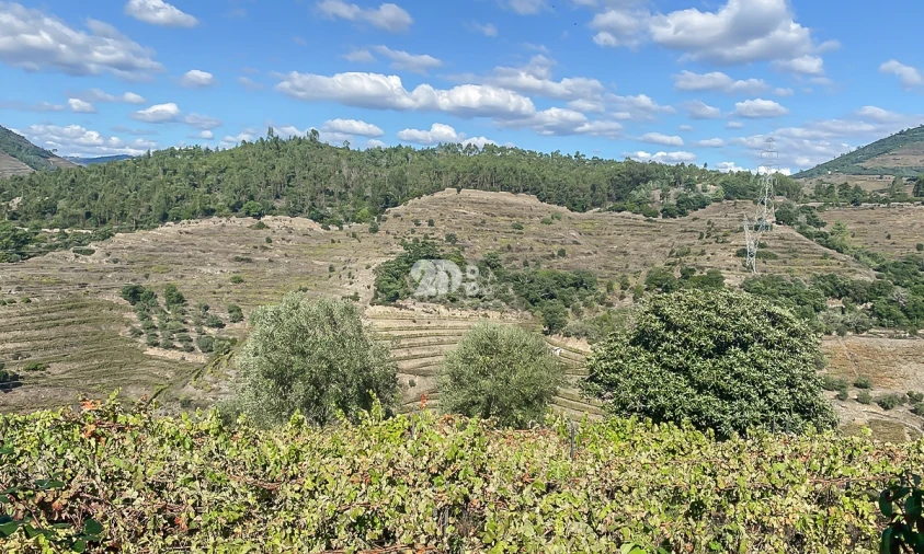 Moradia T3 para Venda em Vacalar Foto 4