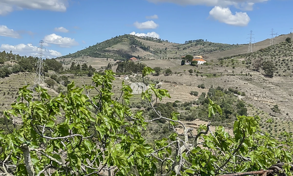 Moradia T3 para Venda em Vacalar Foto 3