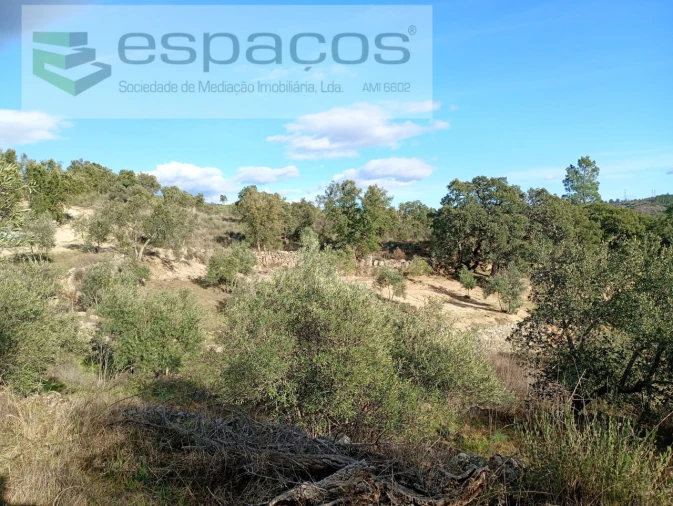 Terreno Agricola ou Rústico para Venda em Salgueiro do Campo Foto 8