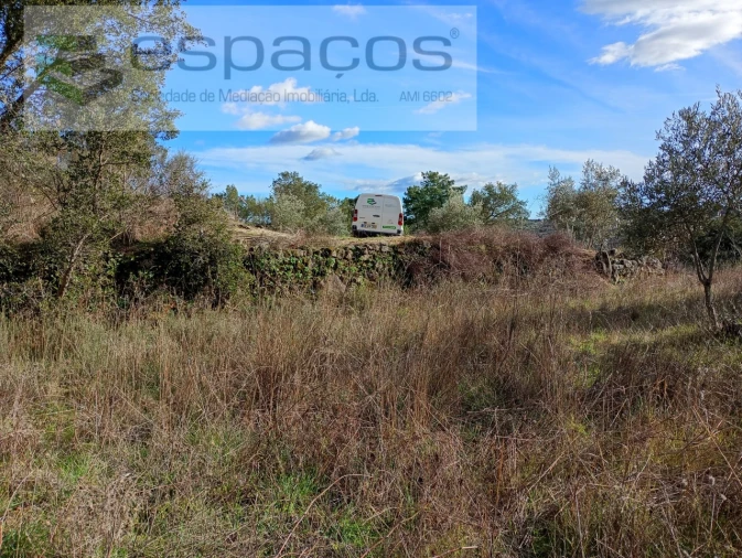 Terreno Agricola ou Rústico para Venda em Salgueiro do Campo Foto 12