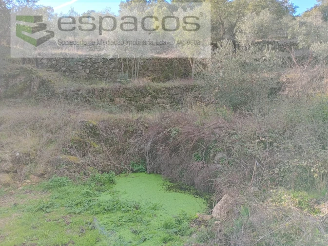 Terreno Agricola ou Rústico para Venda em Salgueiro do Campo Foto 16