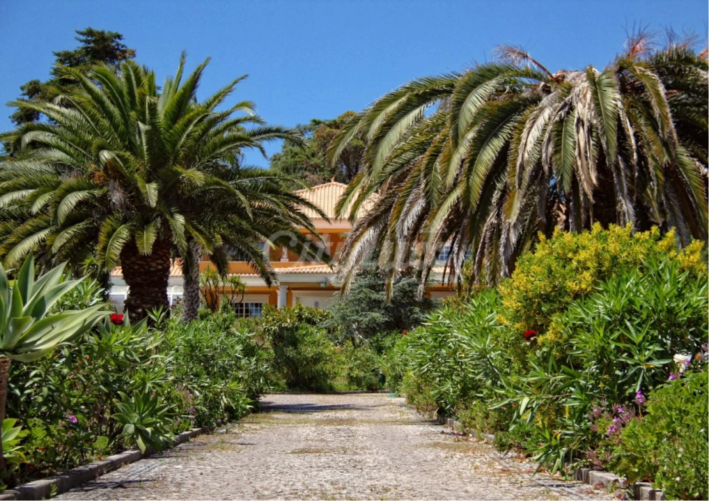 Moradia T6 para Arrendamento em Rio de Mouro Foto 1