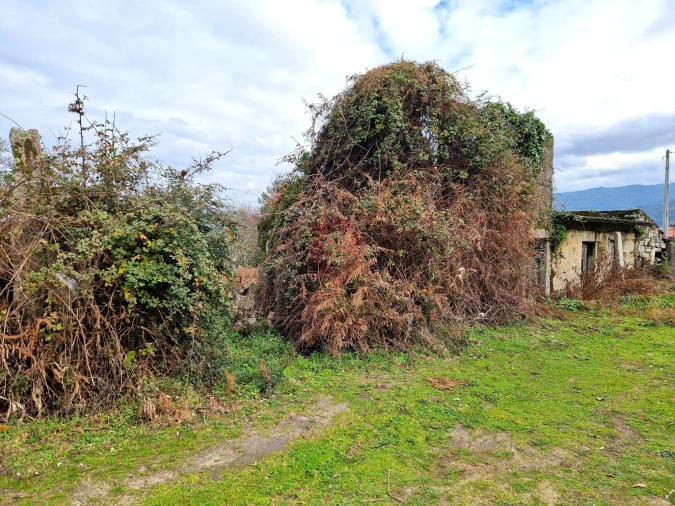 Terreno para Venda em Longos Vales Foto 6