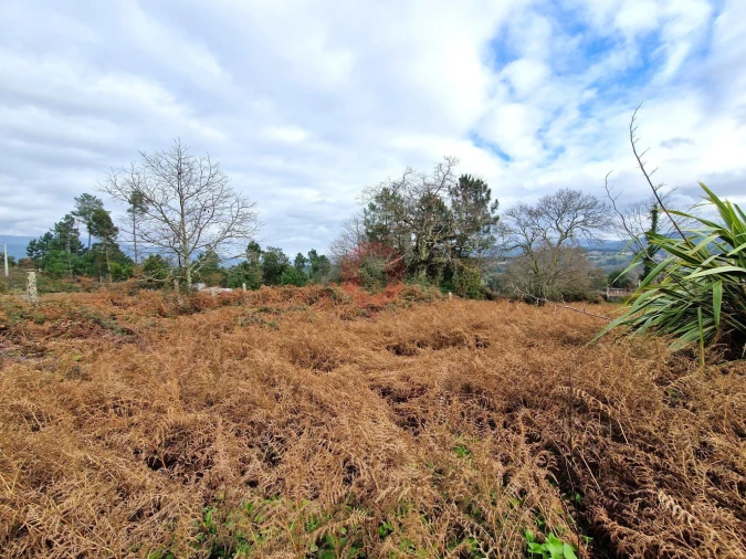 Terreno para Venda em Longos Vales Foto 4