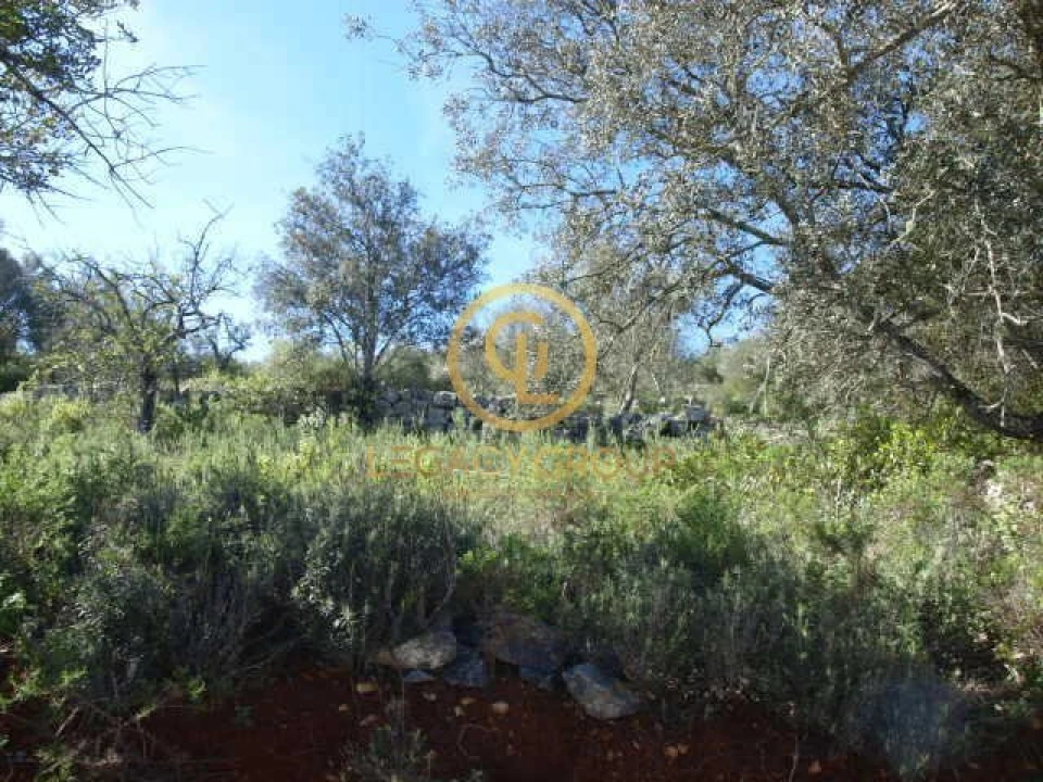 Terreno para Venda em Querença, Tôr e Benafim Foto 16