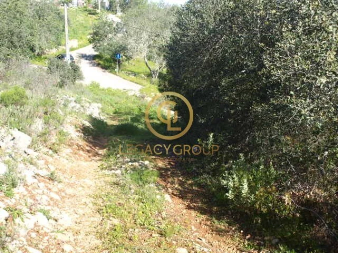 Terreno para Venda em Querença, Tôr e Benafim Foto 5