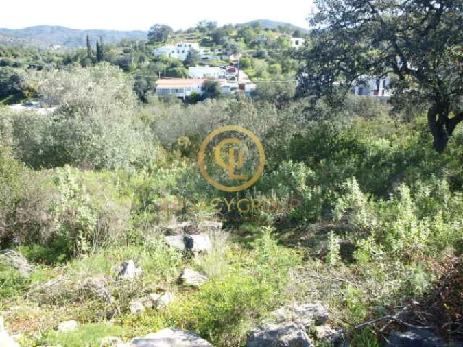 Terreno para Venda em Querença, Tôr e Benafim Foto 17