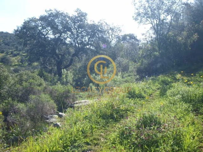 Terreno para Venda em Querença, Tôr e Benafim Foto 3