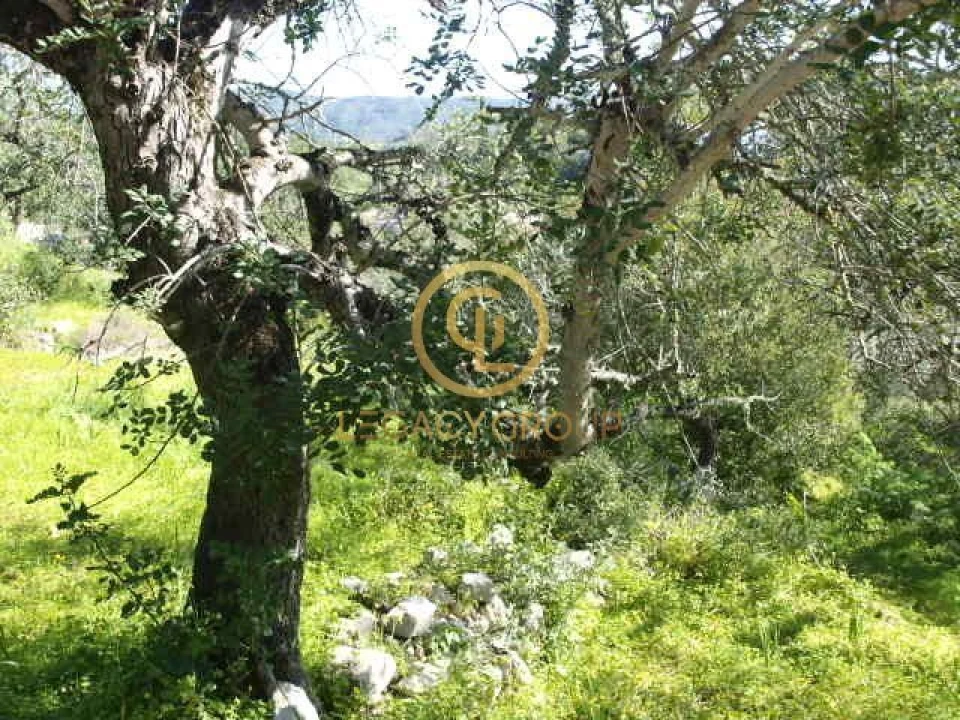 Terreno para Venda em Querença, Tôr e Benafim Foto 2