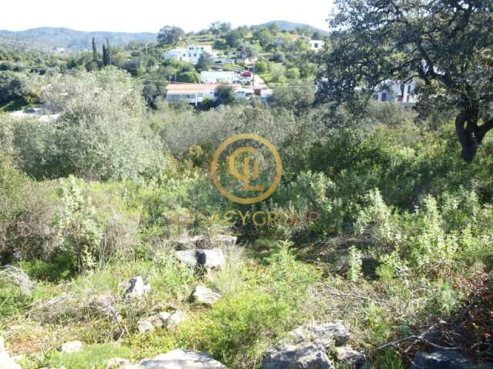 Terreno para Venda em Querença, Tôr e Benafim Foto 17