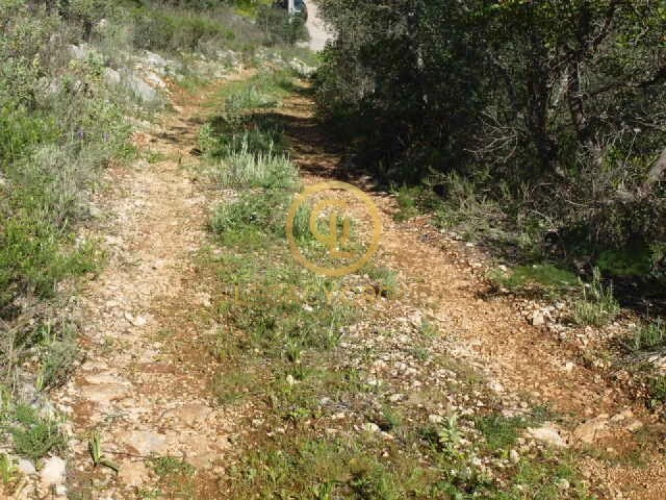 Terreno para Venda em Querença, Tôr e Benafim Foto 13