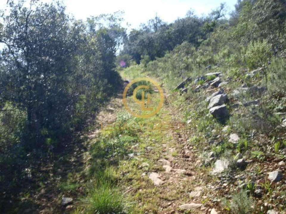 Terreno para Venda em Querença, Tôr e Benafim Foto 4