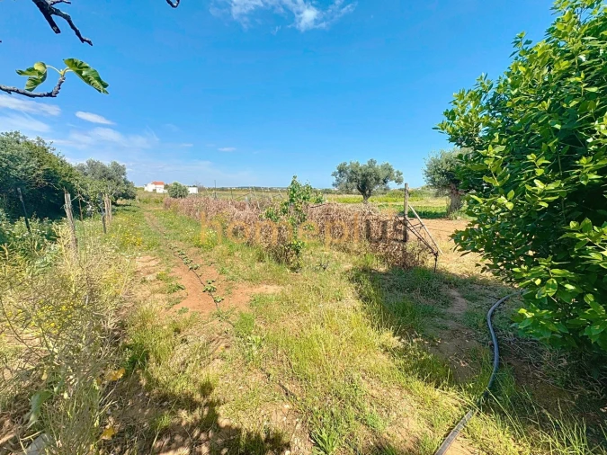 Moradia T5 para Venda em Vila Nova de Cacela Foto 20