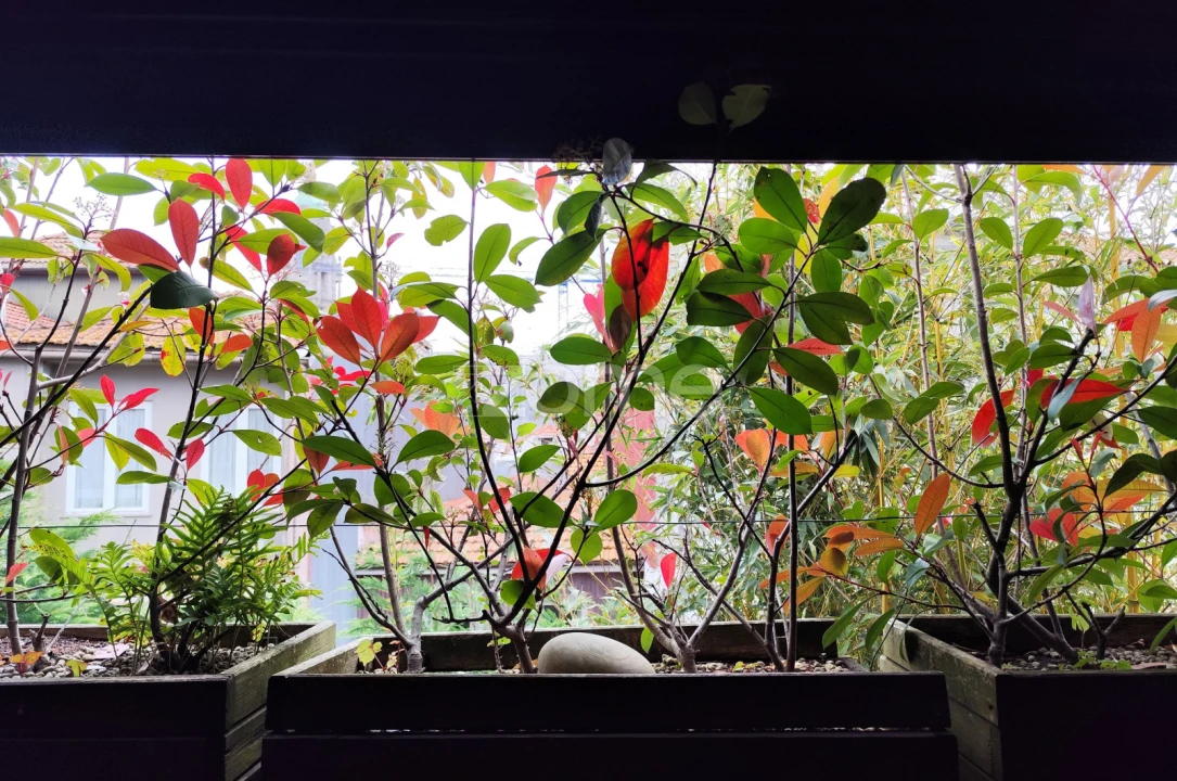 Negócio para Trespasse em Cedofeita, Santo Ildefonso, Sé, Miragaia, São Nicolau e Vitória Foto 23