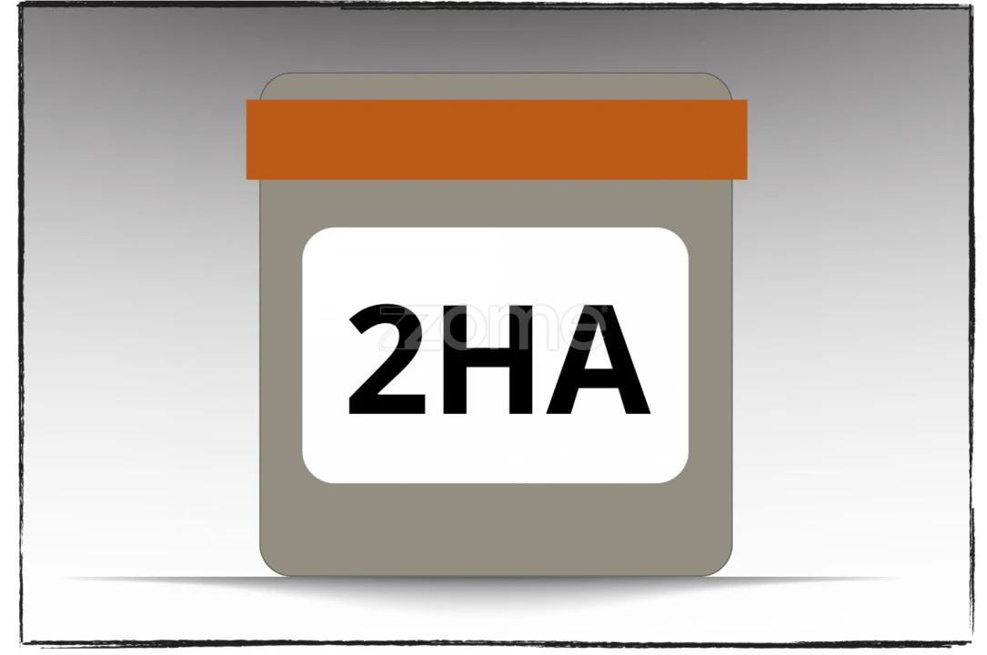 Escritório para Arrendamento em Santa Maria e São Miguel, São Martinho, São Pedro Penaferrim Foto 25