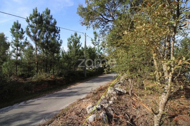 Terreno para Venda em Santiago da Guarda Foto 6