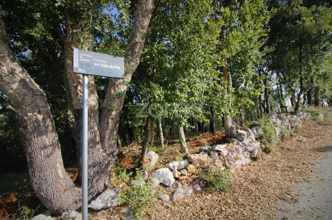 Terreno para Venda em Santiago da Guarda Foto 7