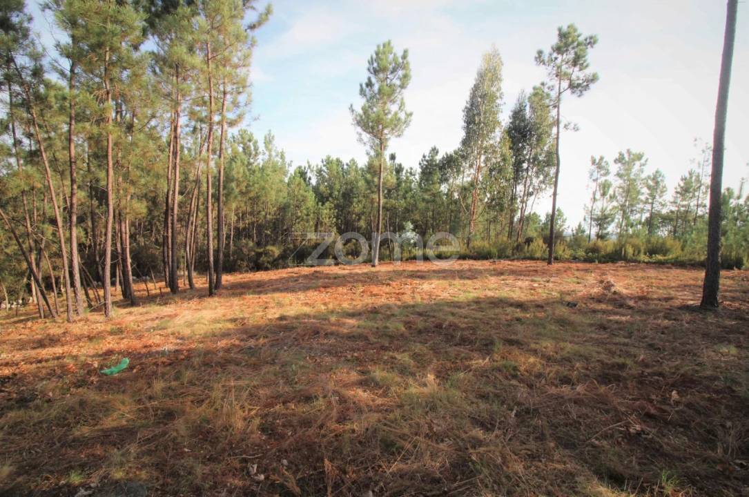 Terreno para Venda em Santiago da Guarda Foto 3