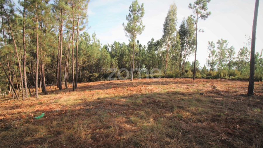 Terreno para Venda em Santiago da Guarda