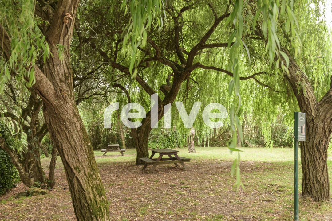 Apartamento T2 para Venda em Santa Maria e São Miguel, São Martinho, São Pedro Penaferrim Foto 29