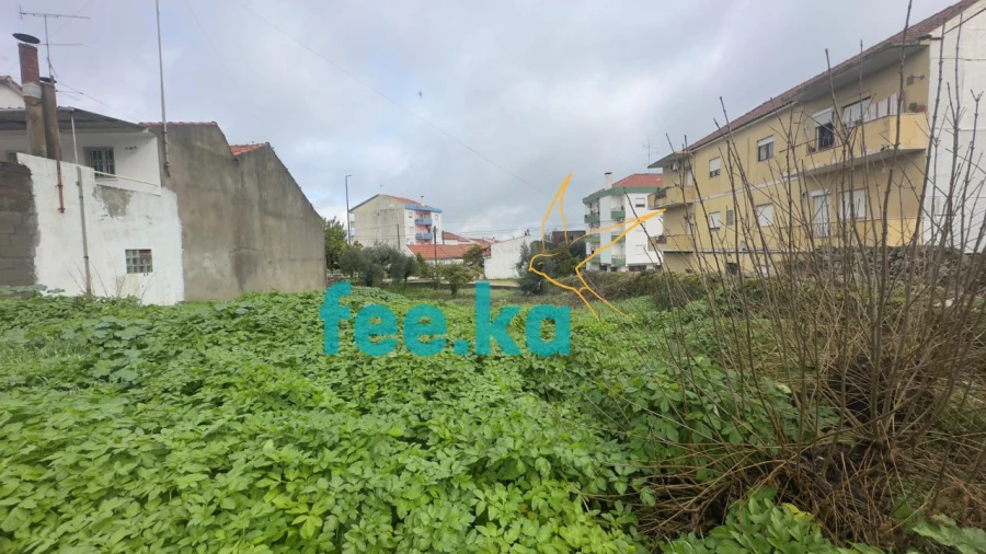 Terreno para Venda em Castelo Branco Foto 18