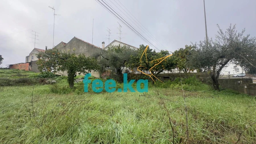 Terreno para Venda em Castelo Branco Foto 4