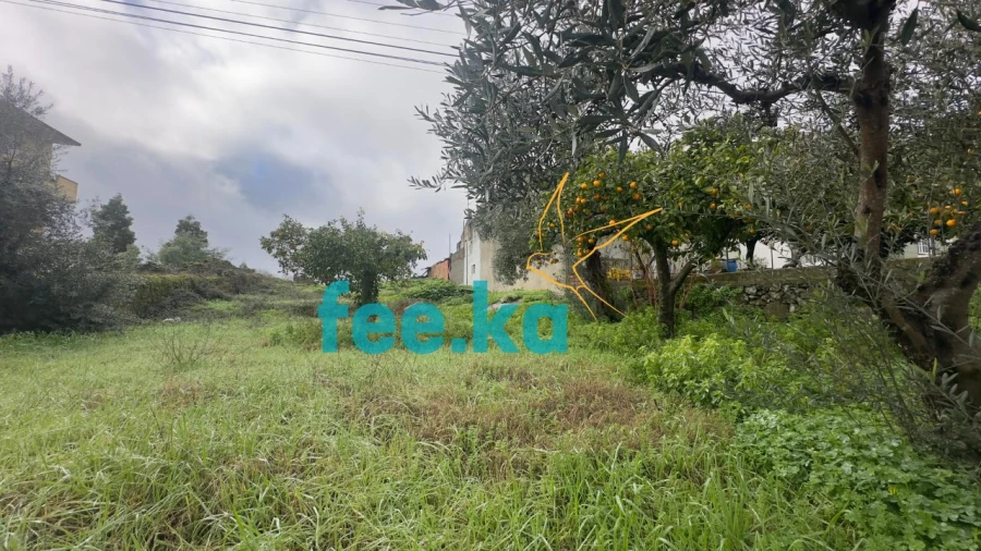 Terreno para Venda em Castelo Branco Foto 2