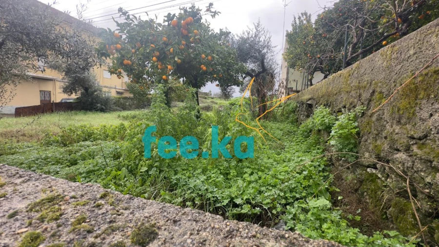 Terreno para Venda em Castelo Branco Foto 6