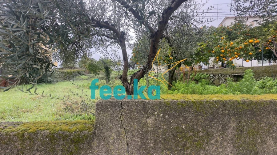 Terreno para Venda em Castelo Branco Foto 8