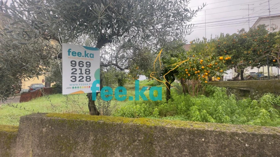 Terreno para Venda em Castelo Branco Foto 12
