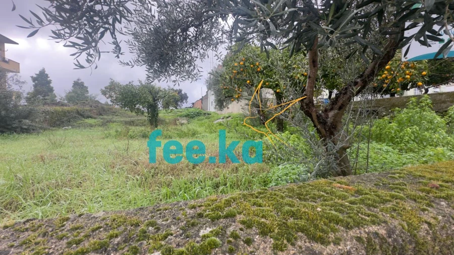 Terreno para Venda em Castelo Branco Foto 1