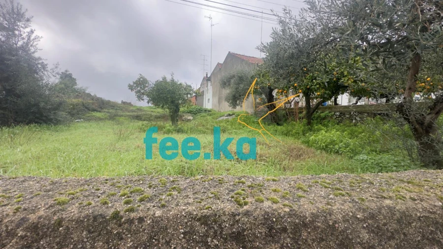 Terreno para Venda em Castelo Branco Foto 14