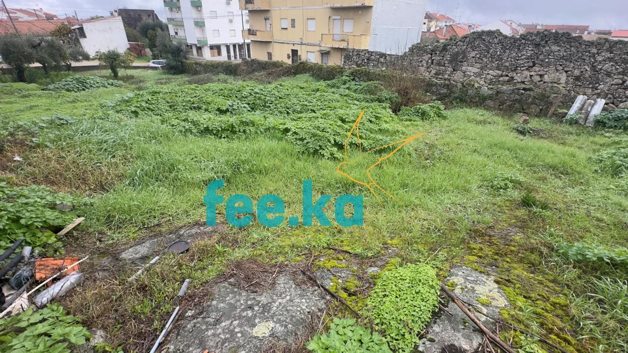 Terreno para Venda em Castelo Branco Foto 20