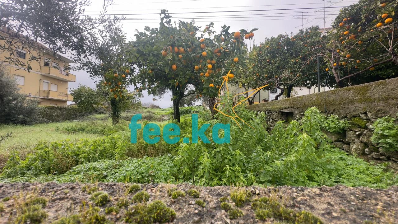 Terreno para Venda em Castelo Branco Foto 5