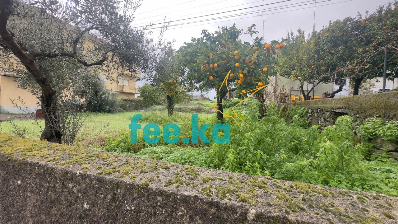 Terreno para Venda em Castelo Branco Foto 7