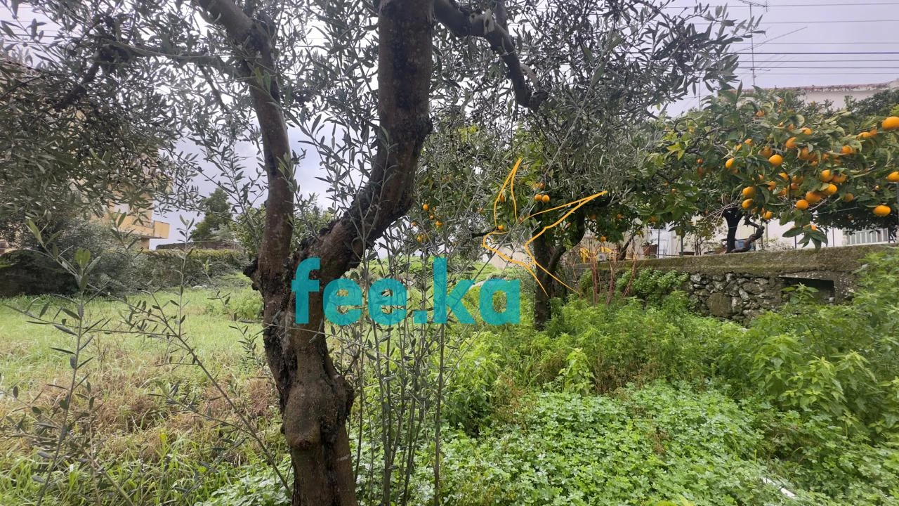 Terreno para Venda em Castelo Branco Foto 9