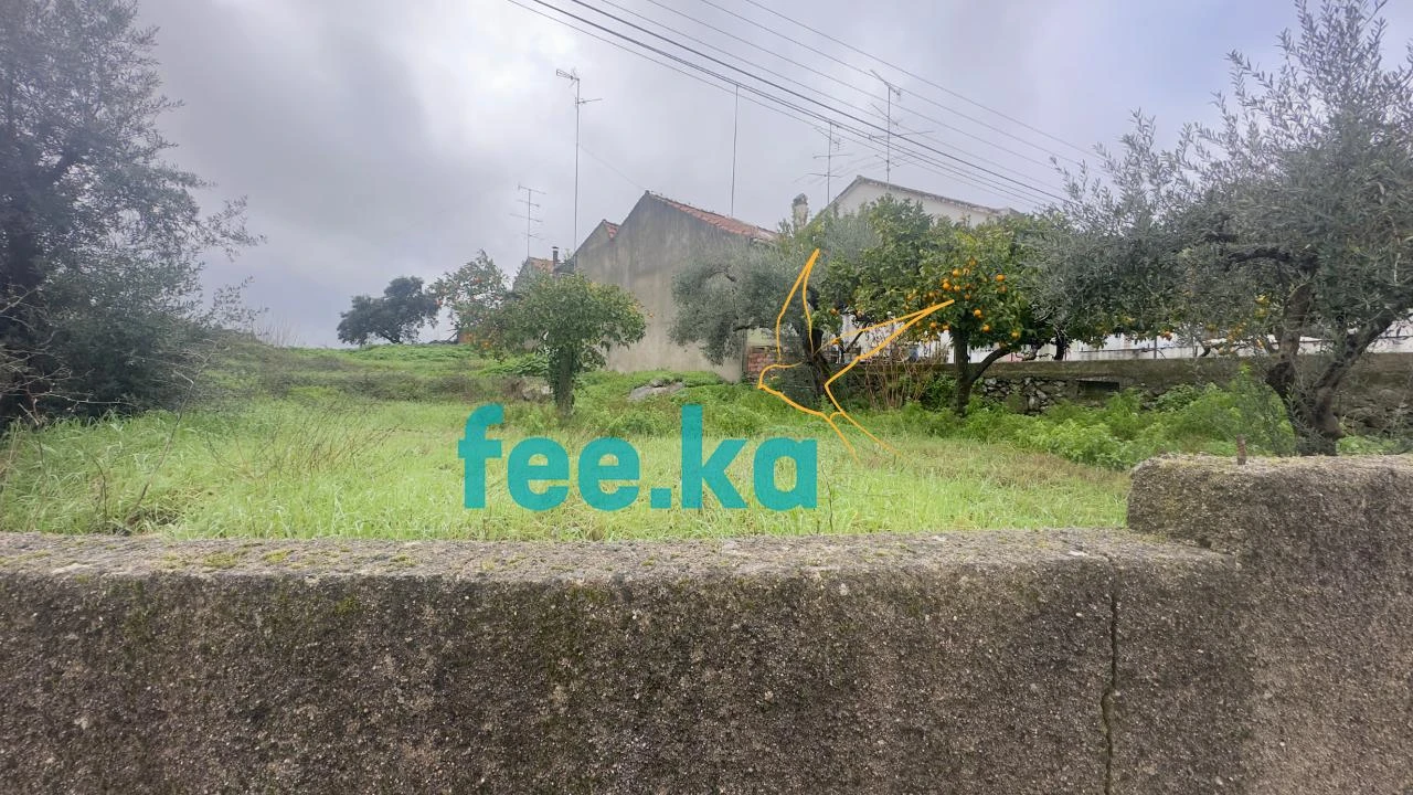 Terreno para Venda em Castelo Branco Foto 11