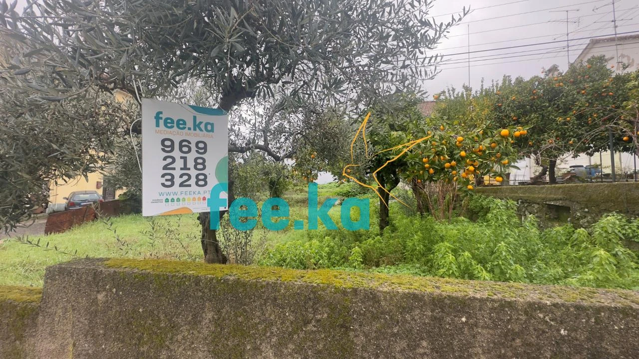 Terreno para Venda em Castelo Branco Foto 12