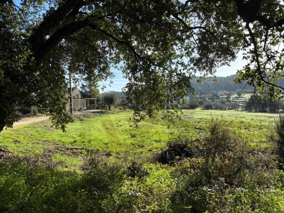 Terreno para Venda em Olalhas Foto 10