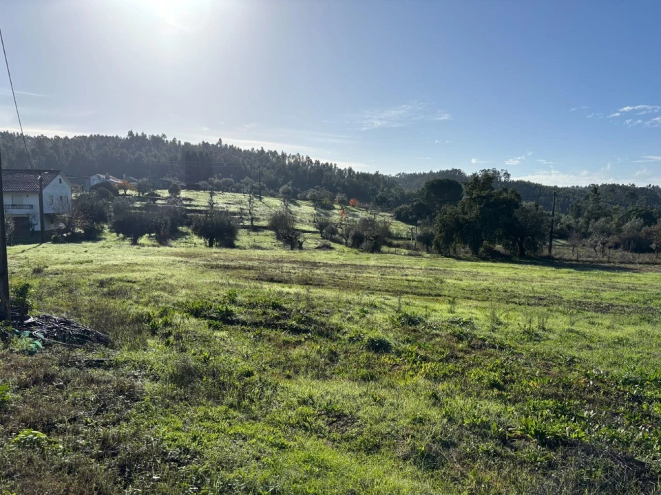 Terreno para Venda em Olalhas Foto 18