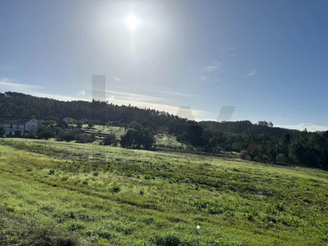 Terreno para Venda em Olalhas Foto 4