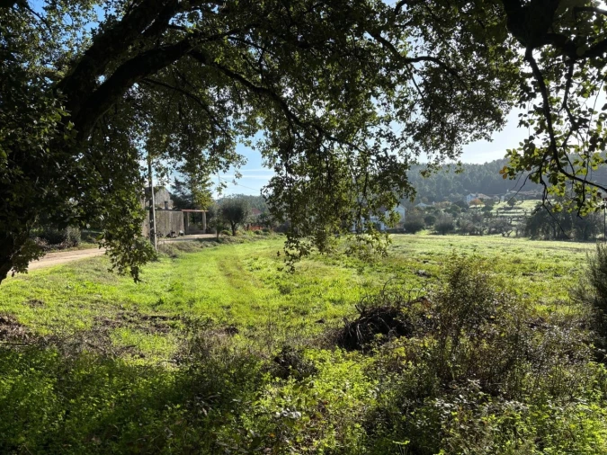 Terreno para Venda em Olalhas Foto 10