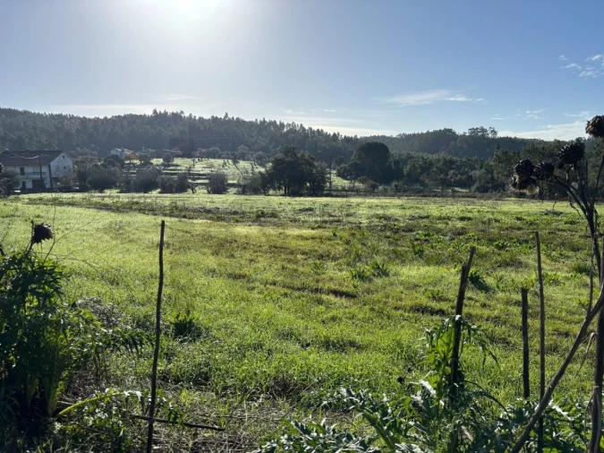 Terreno para Venda em Olalhas Foto 11
